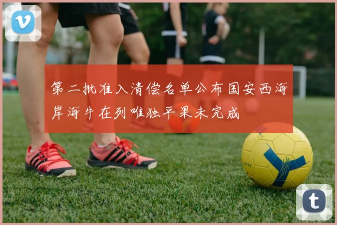 第二批准入清偿名单公布国安西海岸海牛在列唯独平果未完成