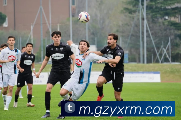 徐长锁谈与杨瀚森保持联系未来将培养更多优秀年轻球员